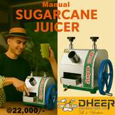 Dheer Manual Sugarcane Juicer Silver Compact