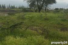 50*100 plots at juja farm with ready title deed
