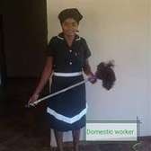 Cleaning services in Mombasa city