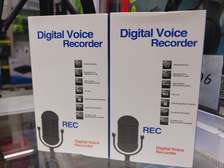 Professional Digital Voice Recorder