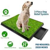 Pet Potty Trainer) Dog relief system