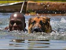 Dog Obedience Training - Voted #1 Dog Trainer in Nairobi