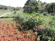 land for sale in Loresho