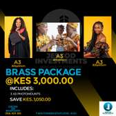 A3 BRASS Photo Mount PACKAGE
