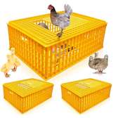Chicken transport cage