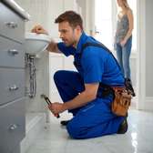 Professional plumber