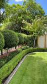 Landscaping services provider