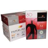 Premium Printing Papers A4 Size (White)
