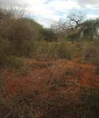 3,000 Acres Is Available For Lease In Kambu Makueni County