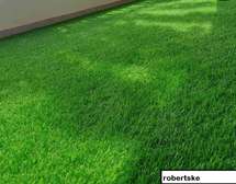 wall to wall grass carpets