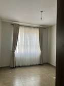 curtains and sheers