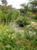 Kamumu 2½ acres