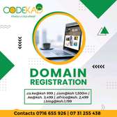 Domain registration and web hosting