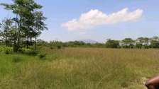 Plots for sale in Thika