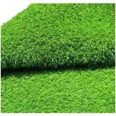 Grass carpets (106)