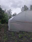 Green House