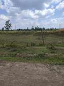 1/2 acre prime land with two access roads distress sale