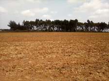 41 Acres of Land For Sale in Timau