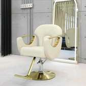 Classy styling salon seat