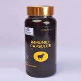Norland HealthWay Immune Plus Capsules in Kenya