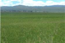 15.3 ac Land at Nakuru