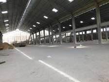 47,320 ft² Warehouse with Backup Generator at Bonje