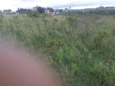 0.5 ac Land in Ongata Rongai