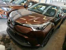 Toyota CH-R Brown 🟤🤎