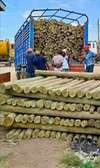 Fencing poles(treated)