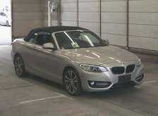 BMW 220i 2 series over view
