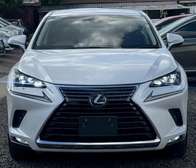 LEXUS NX300