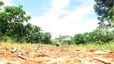 Land at Gatanga Road