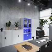 Office Cabinet:  2-Door Blue Safe Cabinet with Safe