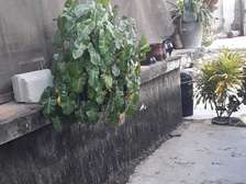 Commercial Property in Shanzu