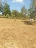 Land at Southern Bypass