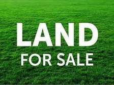 0.8 ac Land in General Mathenge