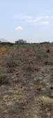 MALAA PLOTS FOR SALE