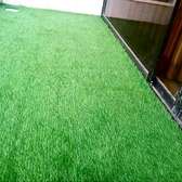 Grass carpets (14_14)