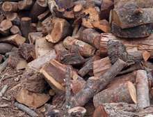 Dry Firewood