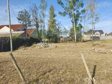 450 m² Land at Ruiru Kamakis