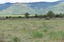 5 to 200acres of Prime land for sale in Sultan Hamud