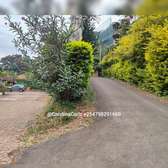 Commercial Land at Peponi Road