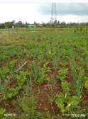 50×100 Plot In Ngarariga Gakawa, Near Nanyuki Airstrip