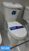 Toilet Seat and Cistern