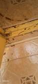 Fumigation Services