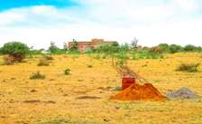Mwalimu farm Affordable Residential plots for sale-50*100