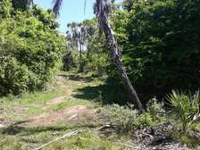 56,658 m² Commercial Land at Funzi Island
