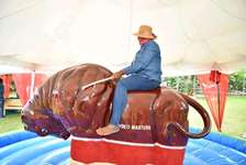 mechanical Rodeo bull lease