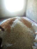 Terrazzo Installation Kiambu County