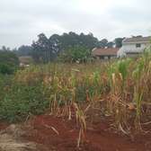 0.5 ac Residential Land in Kitisuru